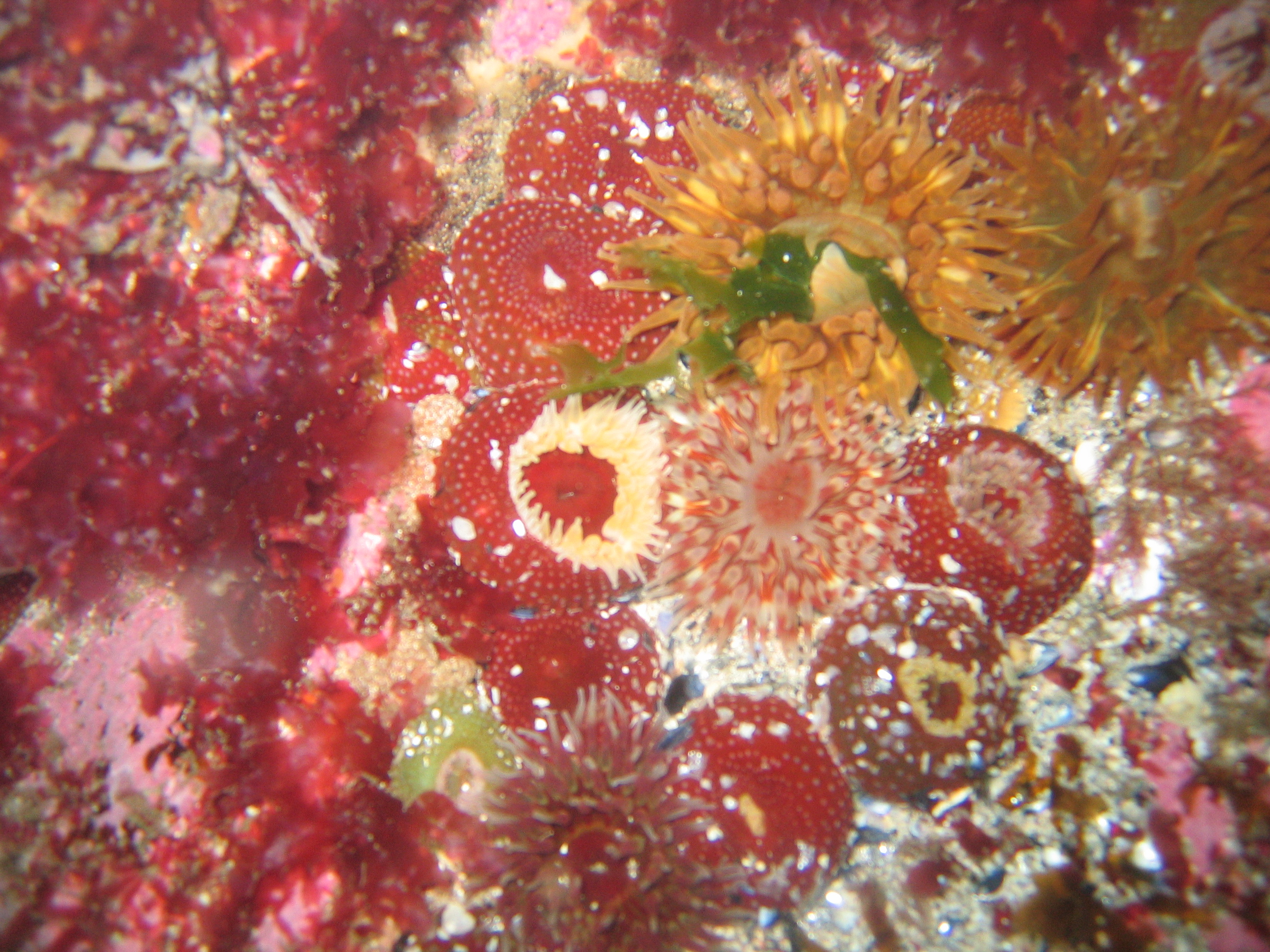 Belmullet079.JPG